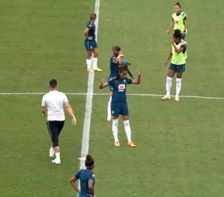 Soccer Match was Interrupted When a Bird Landed on Player's Head