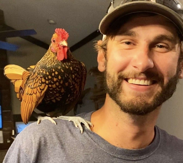 Stray Rooster Decided to Adopt this Family