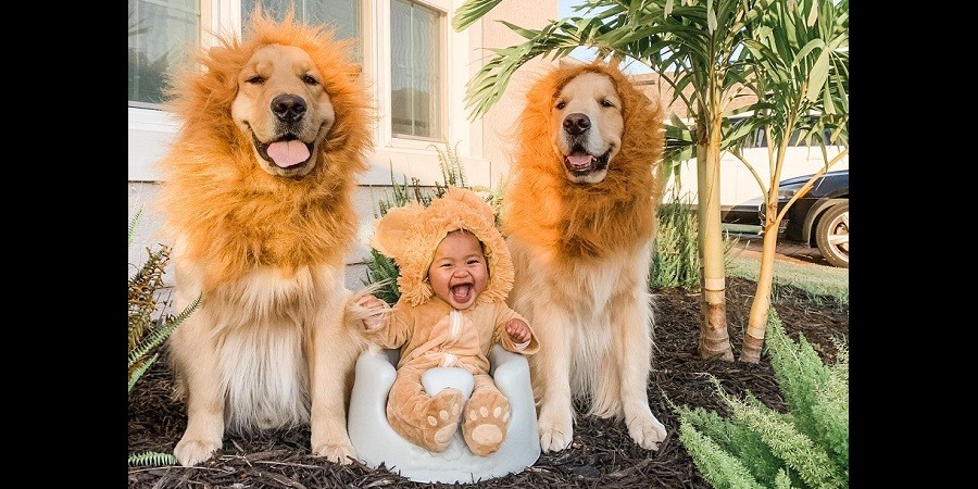 Dad, Baby, and Dogs Do Adorable Recreation of Lion King Scene