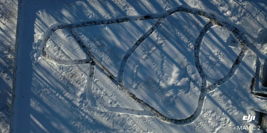 Dog Dad Creates Snow Maze for their 21 Rescue Dogs to Play in