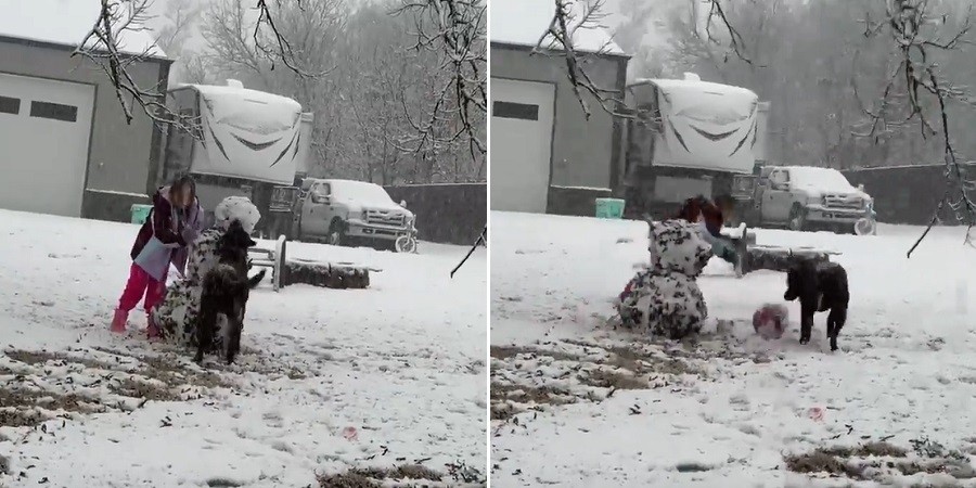 Dog Insists Snowman's Head is Still a Ball