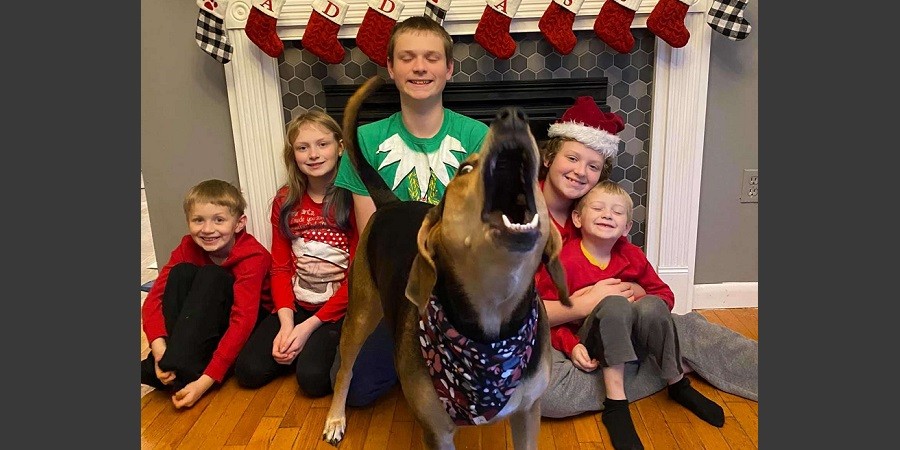 Dog Keeps Photobombing her Family's Christmas Card Photos