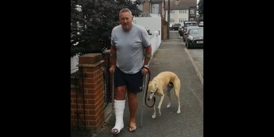 Dog Fakes Limp