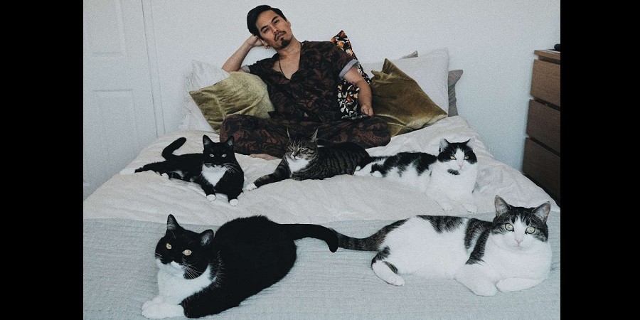 Guy Unexpectedly Becomes Dad to Cat Family
