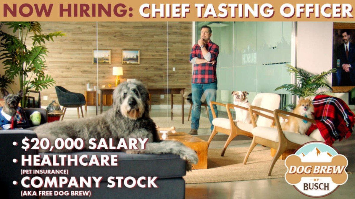 Busch Beer's 'Dog Brew' Canine Ambassador will receive great salary and benefit package