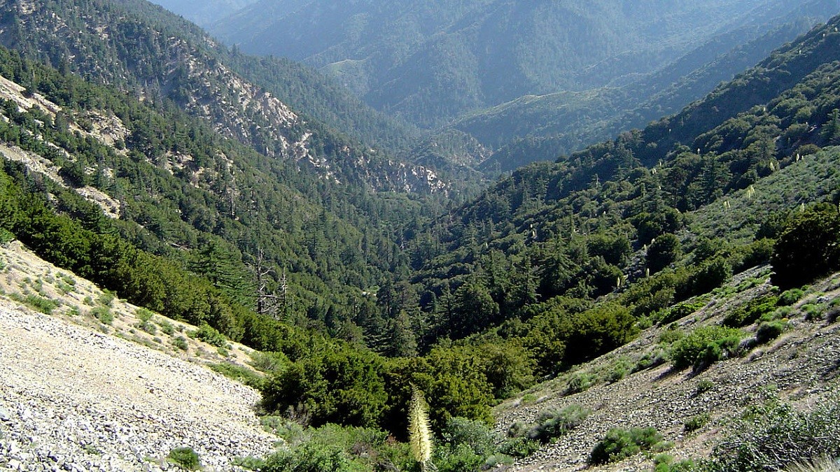 Missing Hiker in angeles national forest
