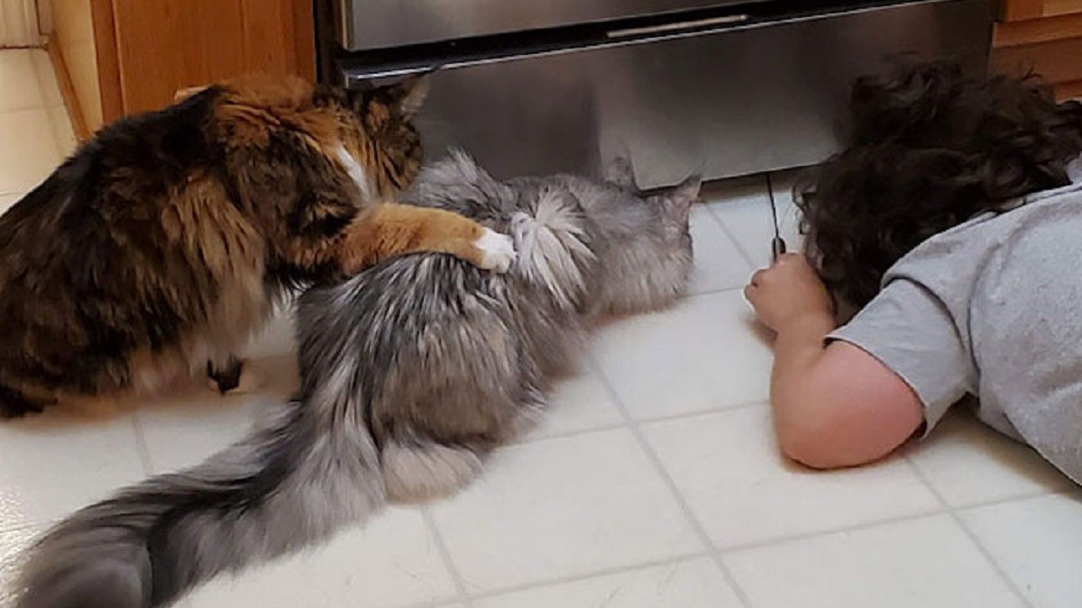 Heartwarming Photos