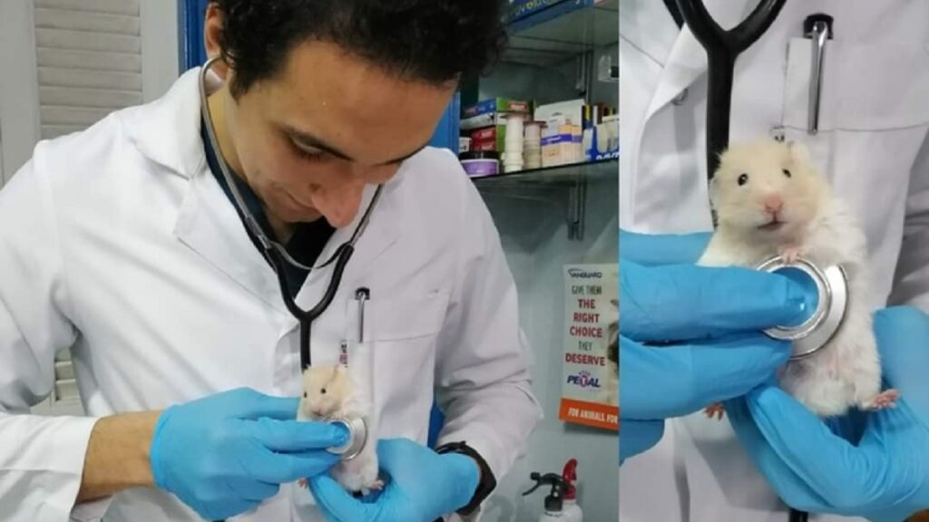 15 Adorable Photos of Veterinarians' Favorite Furry Clients