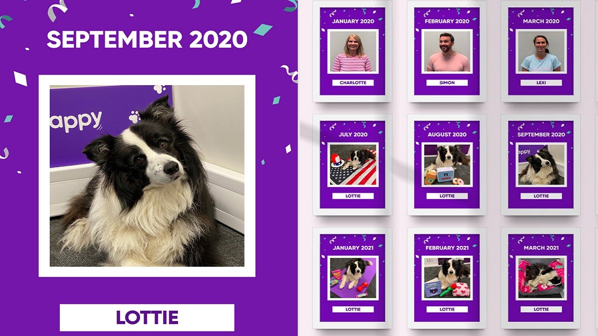 Pup 'Employee of the Month' 15 Times for Bringing Joy During Pandemic