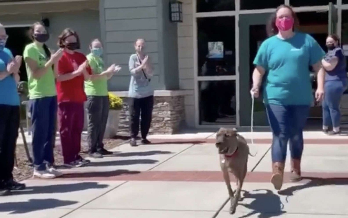 Shelter Staffers Give Standing Ovation for Longest Resident's Adoption
