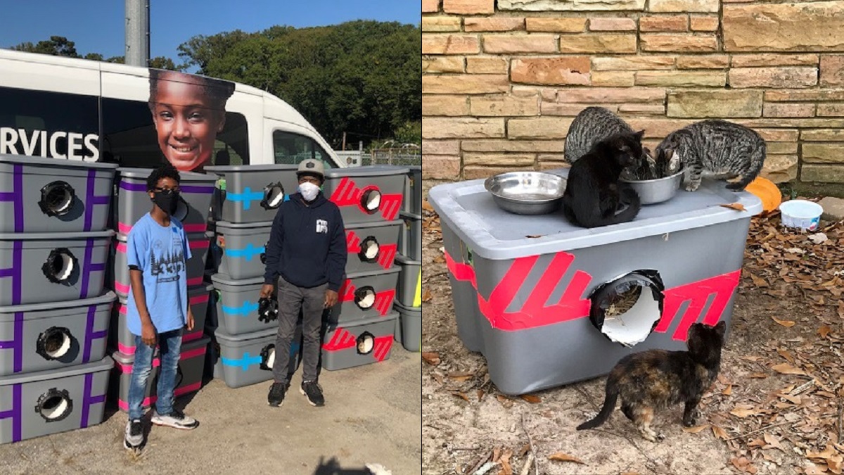 boy scouts build insulated cat shelters