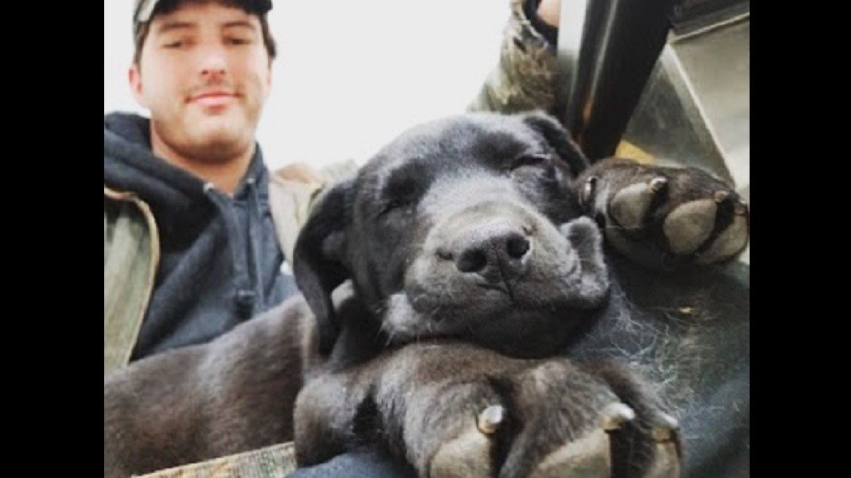 deaf man adopts deaf puppy