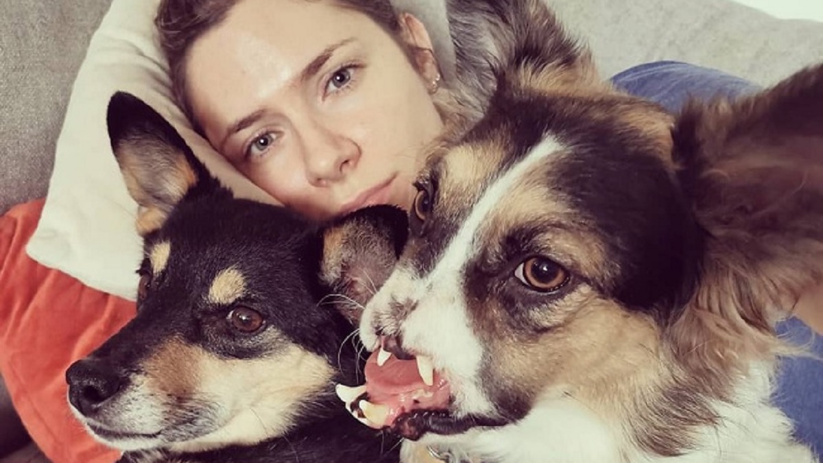 dog with no nose