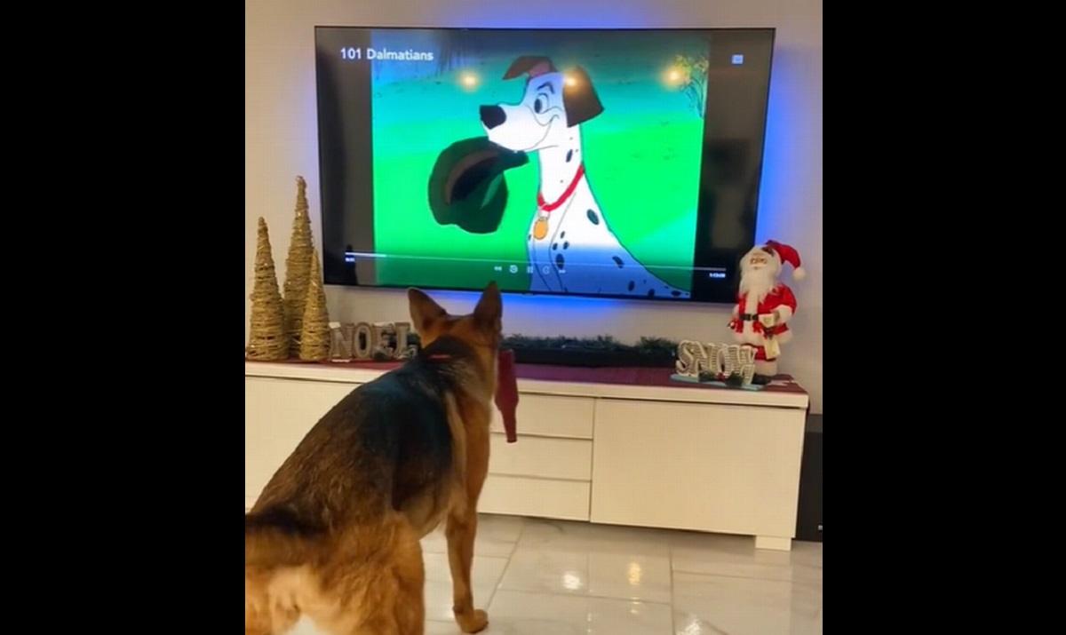 Disney-loving German shepherd copies 101 Dalmatians