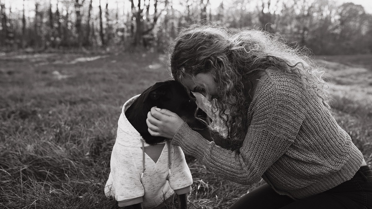 Photographer Offers Dog Owners Free End-of-Life Shoots with Their Beloved Senior Pets