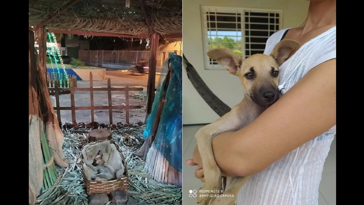 nativity scene manger occupant