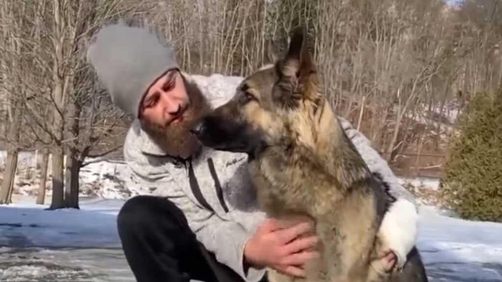 Real-Life 'Lassie' Leads Police to Scene of Owner’s Car Crash