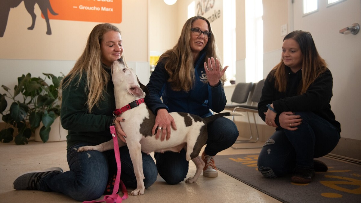 Dog who chewed off leg to get free finds safe haven in animal sanctuary