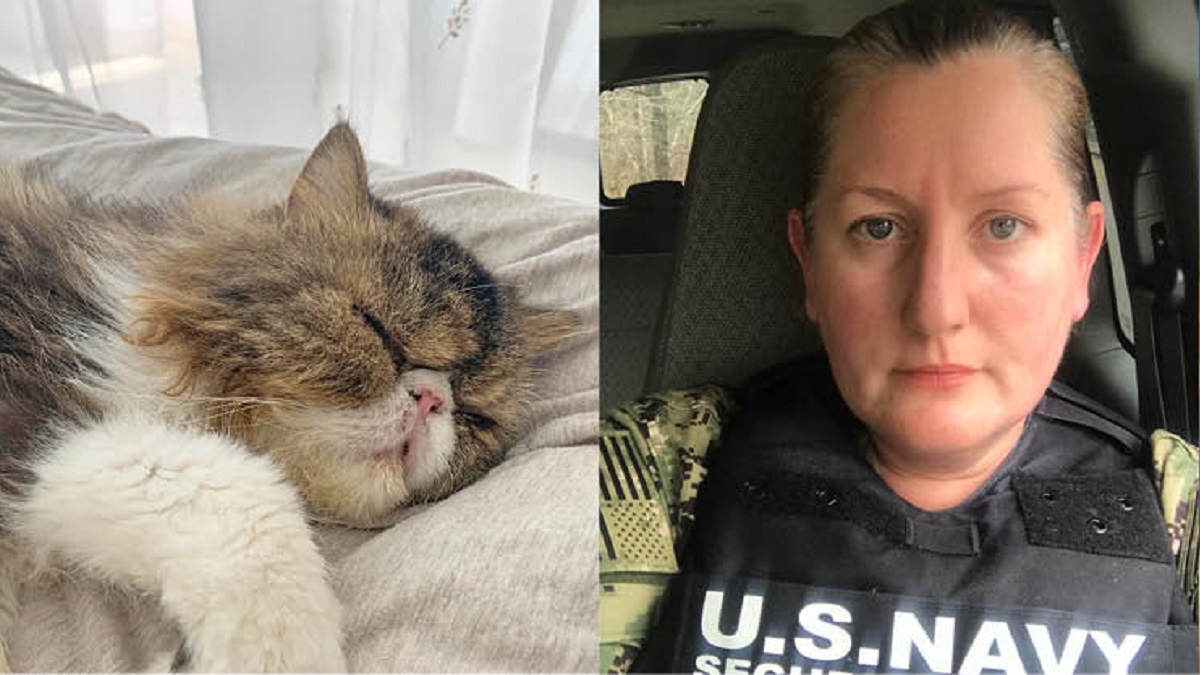 navy officer needs help to reunite with beloved grumpuss