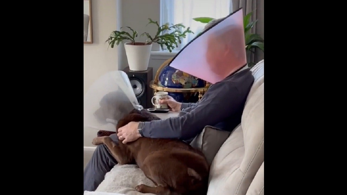 Dad wears own 'cone of shame' to keep dog company