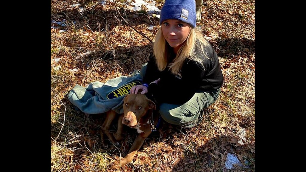 Loyal dog stayed beside body of owner reported missing