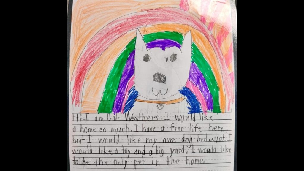 Second-graders help shelter dogs get adopted