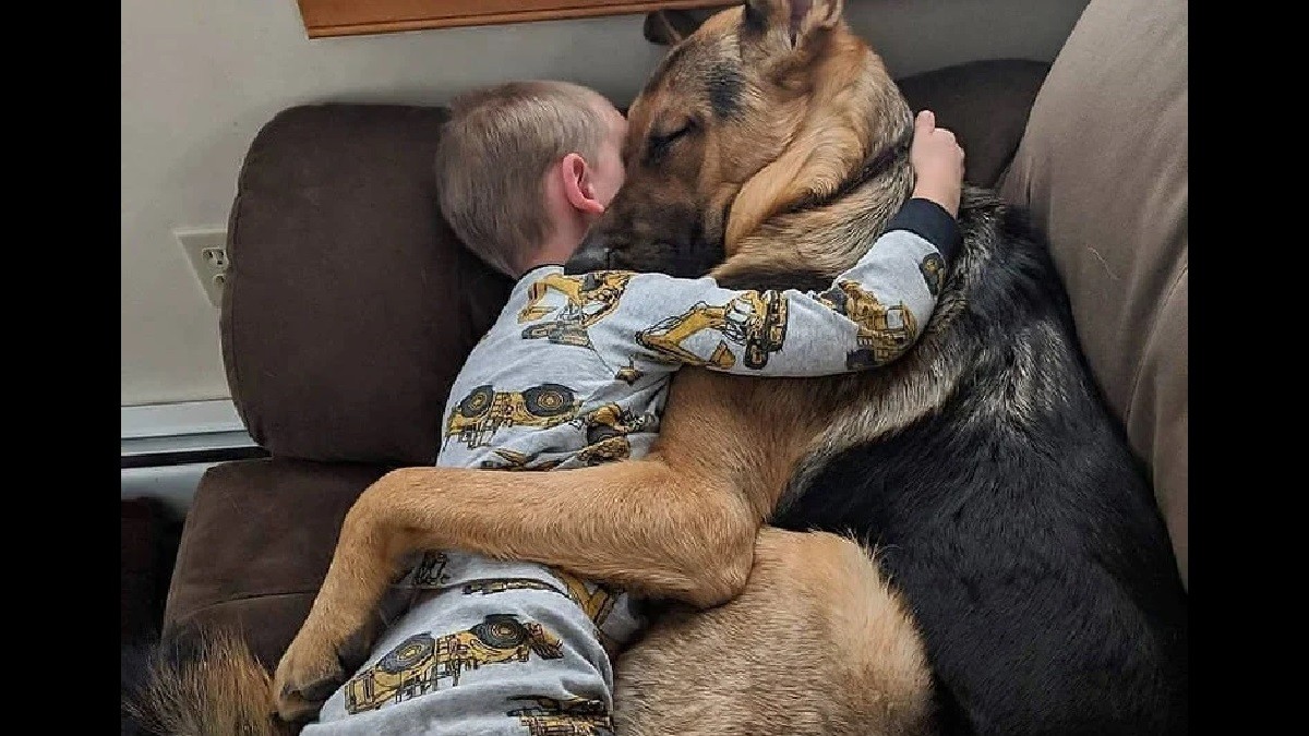 heartwarming animal photos
