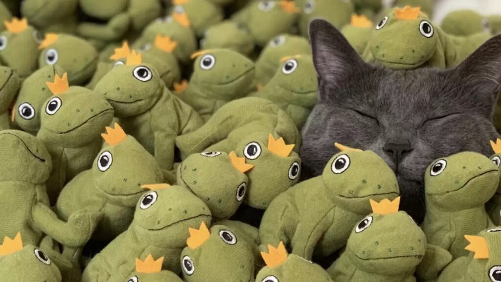 mochi kitty loves toy frog so much she now has an army