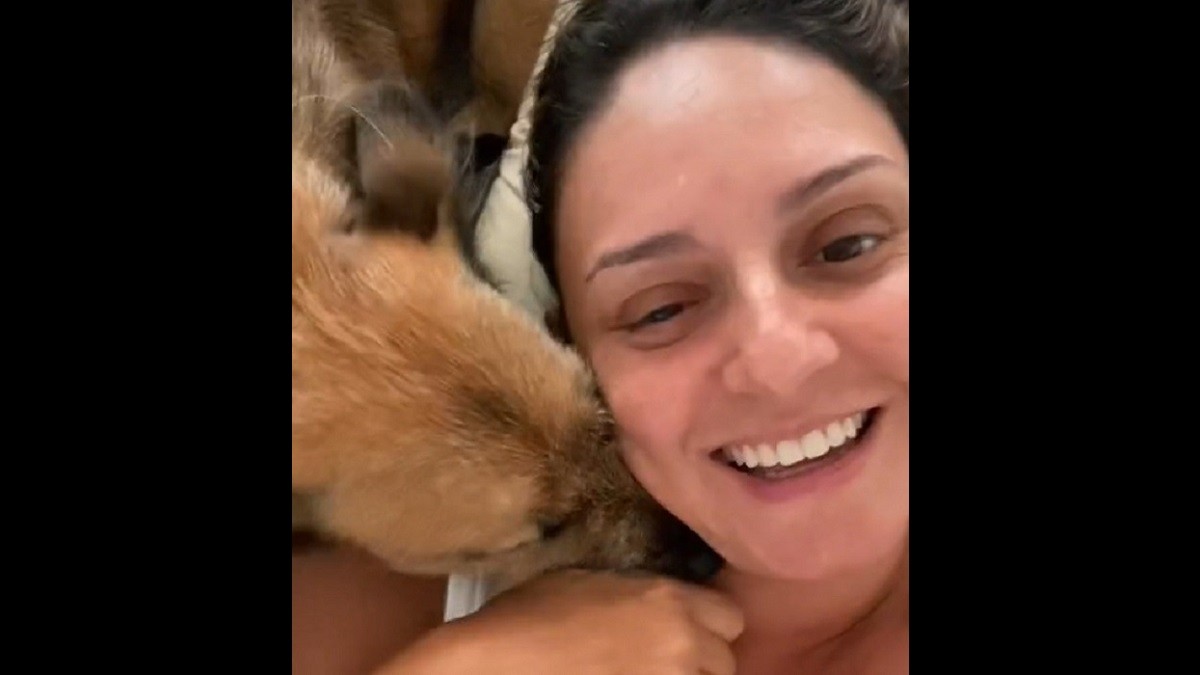 dog hiccups