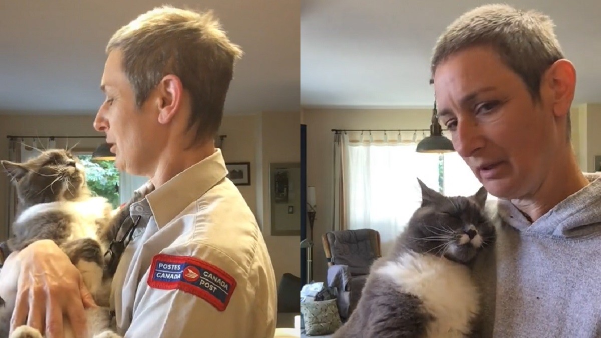 Cuddly cat loves snuggling with mom before she leaves for work